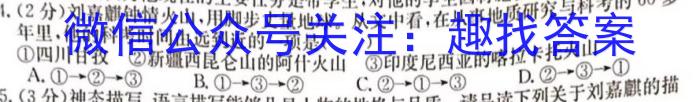 山东省长清区2024年下学期九年级阶段检测语文