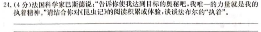 [今日更新]陕西省2024年九年级仿真模拟示范卷 SX(二)2语文