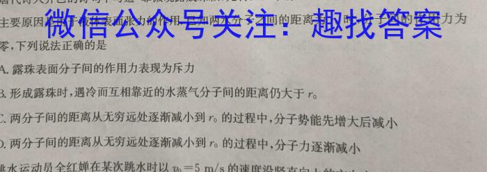 2024年湖北省新高考信息卷(四)4物理试卷答案