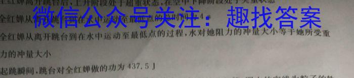 名校计划2024年河北省中考适应性模拟检测（导向一）物理试题答案