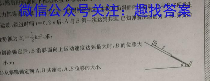 陕西省白河县2023-2024学年度第二学期八年级期末教学质量检测物理试卷答案