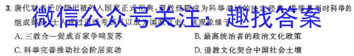 衡水金卷2024版先享卷答案调研卷 新教材卷四历史试卷答案