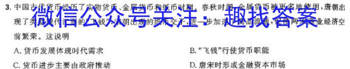 学科网2024届高三2月大联考考后强化卷历史试卷答案