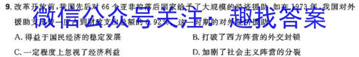 安徽省2024届九年级期末综合评估（4L R）历史试卷答案