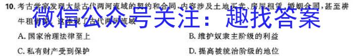 六安市叶集区十校八年级大联考一历史试卷答案