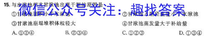 学林教育 2024~2025学年度第一学期九年级第一次阶段性作业&政治