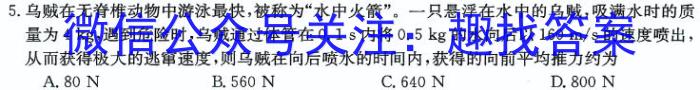 安徽省2024年初中学业水平考试最后一卷(二)物理`