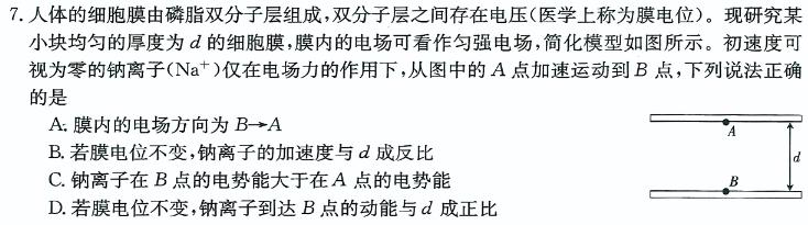 河南省洛阳市2023-2024学年第二学期七年级期末质量监测(物理)试卷答案