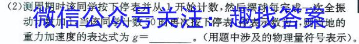 [邵阳一模]2024年邵阳市高三第一次联考试题卷物理试卷答案