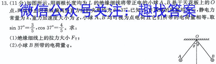 NT2024-2025ѧһѧ12¸׶βԾxԾ