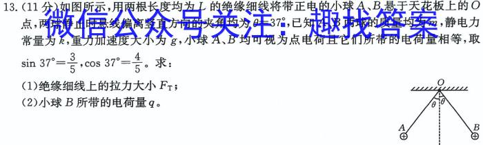 2024届内蒙古高三4月联考(双菱形)物理