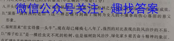 陕西省2023届九年级最新中考冲刺卷(实心方框横线)/语文