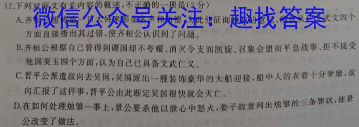 名校计划2024年河北省中考适应性模拟检测（导向二）语文