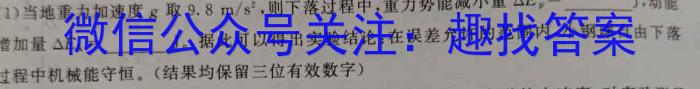 江西省宜昌市高安市2023-2024学年度九年级下学期期中质量监测物理试卷答案