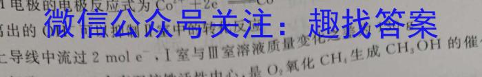 河南省内乡县2024年中招三模考试数学