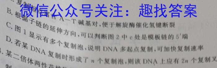 皖智教育 安徽第一卷·2024年安徽中考第一轮复习试卷(二)2生物学试题答案