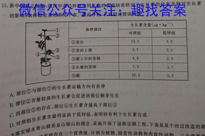 齐鲁名师联盟2025届高三年级第一次诊断考试数学