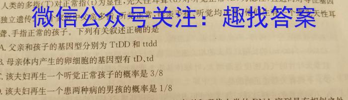 2024河南中考学业备考全真模拟试卷(22)数学