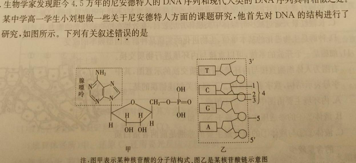 上进联考2024年6月广东省高二年级统一调研测试生物学部分