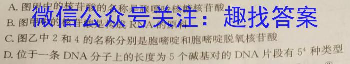 三明市2023-2024学年高一第二学期普通高中期末质量检测生物学试题答案