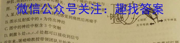 河南省信阳市淮滨县2025届九年级开学考试生物学试题答案