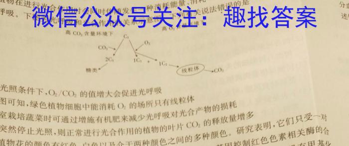 齐鲁名师联盟2025届高三第一次诊断考试数学