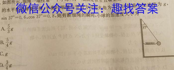 2024年陕西省初中学业水平考试全真模拟卷(二)h物理