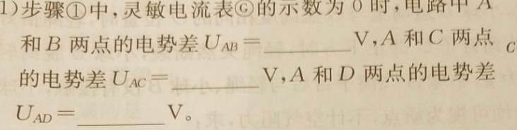 河南驻马店泌阳县2023-2024学年第二学期七年级期末考试(物理)试卷答案