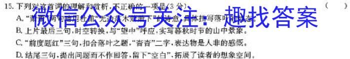 九师联盟 2024届高三4月质量检测语文