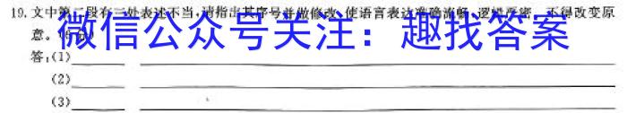 陕西省2024年中考总复习专题训练 SX(二)/语文