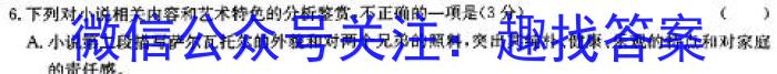 绵阳南山中学2023年秋季高2023级期末热身考试语文