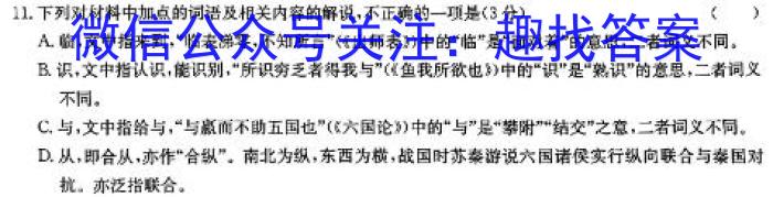 2025年普通高等学校招生全国统一考试模拟金卷(四)4语文