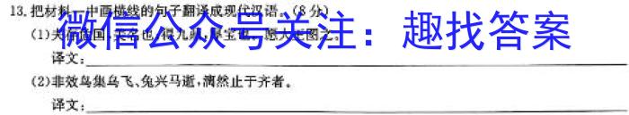 河北省新乐市2024届九年级上学期1月期末考试语文