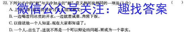 河南2023-2024学年高三第一次模拟考试语文