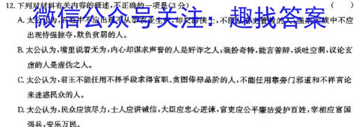 安徽省2024届九年级（无标题）语文