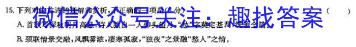 内蒙古赤峰市高三年级1·30模拟考试试题(2024.1)/语文
