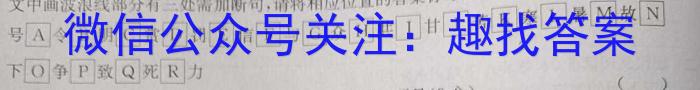 安徽省2023-2024学年九年级第二学期蚌埠G5教研联盟期中调研考试语文