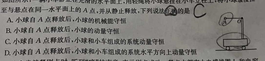 [今日更新]贵州省织金县2023-2024学年度第一学期九年级学业水平检测试卷（3月）.物理试卷答案