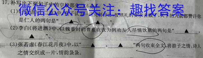 安徽省2023-2024学年度九年级下学期阶段评估（二）语文