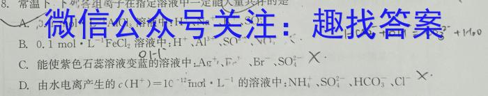 2024年陕西省初中学业水平考试冲刺(一)化学