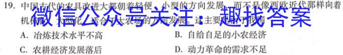 文博志鸿 河南省2023-2024学年八年级第二学期学情分析一历史试卷答案