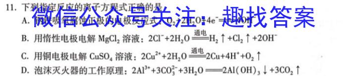 学林教育 2024年陕西省初中学业水平考试·全真模拟卷(五)5数学