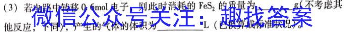 【热荐】2024年河南省普通高中招生考试模拟卷（一）化学