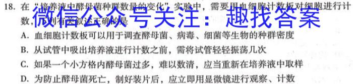 2024年陕西省初中学业水平考试信息卷(C)数学