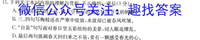 山西省临汾市洪洞县2023-2024学年九年级第一学期期末质量监测考试语文