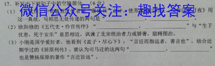 山西省2024年中考总复习专题训练 SHX(六)6语文