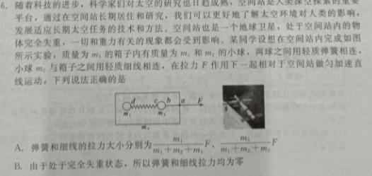 浙东北联盟(ZDB)2024/2025学年第一学期高一期中考试-(物理)试卷答案