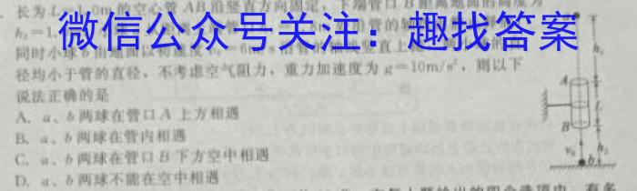 广东省2024年深圳市普通高中高二年级期末调研考试物理试题答案