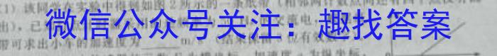 河北省邯郸市2023-2024学年第二学期八年级期末考试物理试卷答案