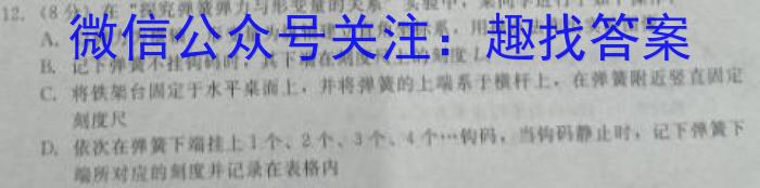 安徽省2024年秋学期九年级期末检测卷物理`